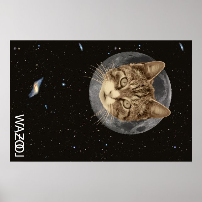 Cat Wazool Poster (Frente)