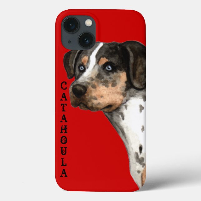 Catahoula Color Block (Verso)