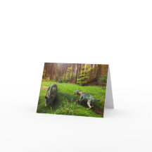 Catahoula e Cartão de Alojamento para Cachorros Se