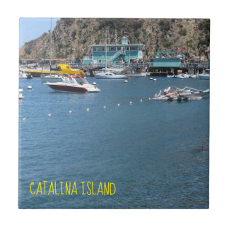 CATALINA ILHA CERÂMICA AZULEJO DA CASA VERDE