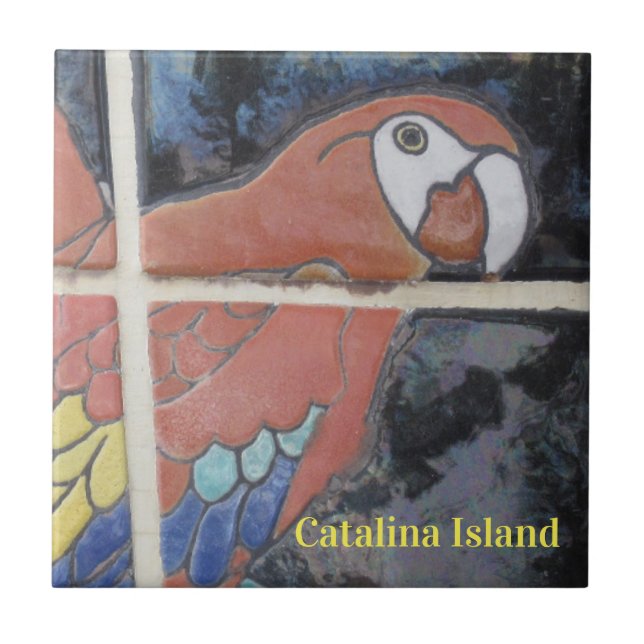CATALINA ILHA CÉRAMICA AZULEJO OS OLHOS DA CATALIN (Frente)