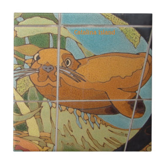 CATALINA ILHA, ROSTO DE AZULEJO CERÂMICO NA ÁGUA