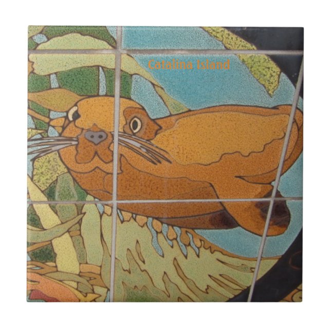 CATALINA ILHA, ROSTO DE AZULEJO CERÂMICO NA ÁGUA (Frente)