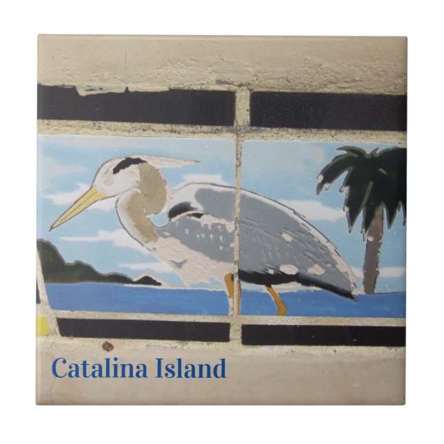 CATALINA ISLAND CERAMIC TILE BIRD OF CATALINA (Frente)