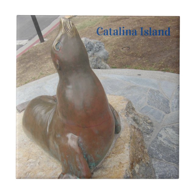 CATALINA ISLAND CERAMIC TILE THE BEN (Frente)