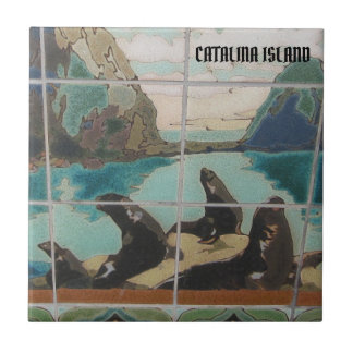 CATALINA ISLÂNDIA CERÂMICA AZULEJO DAS ILHAS