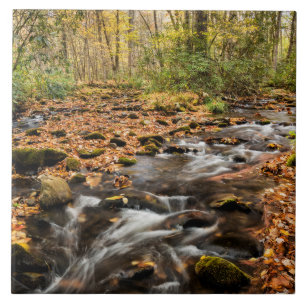 Cataloochee Creek NC Great Smoky Mountains