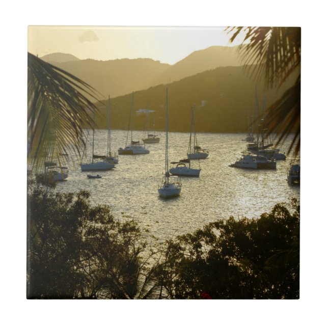 Catamarãs e veleiros (Frente)