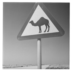 Catar, Al Zubarah. Sinal de Cruzamento de Camelos-