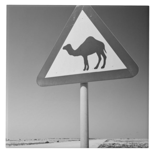 Catar, Al Zubarah. Sinal de Cruzamento de Camelos- (Frente)