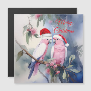 Catatuas Rosadas Chapéu de Papai Noel Natal Feliz