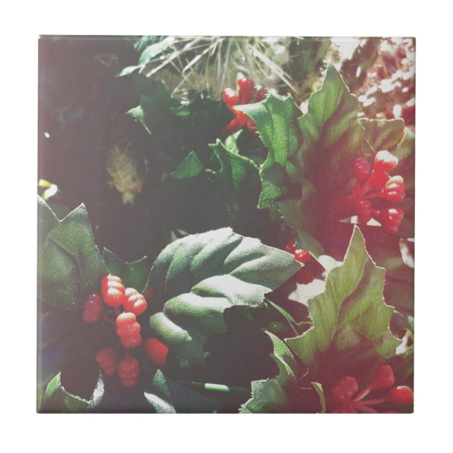 Catctus natalino (Frente)