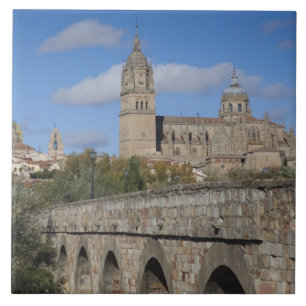 Catedrais de Salamanca, vistas da Puente Romano