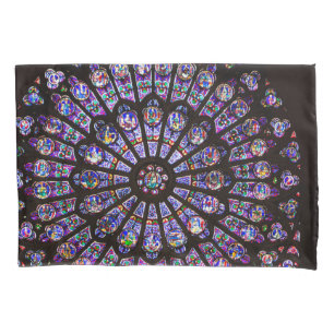 Catedral de Notre Dame Rosa de Paris