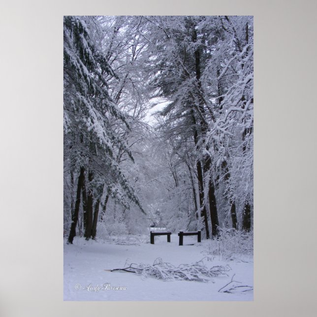 Catedral do Gelo ~ impressão (Frente)