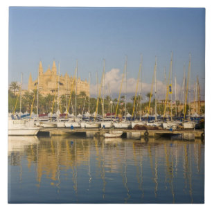 Catedral e marina, Palma, Mallorca, Espanha