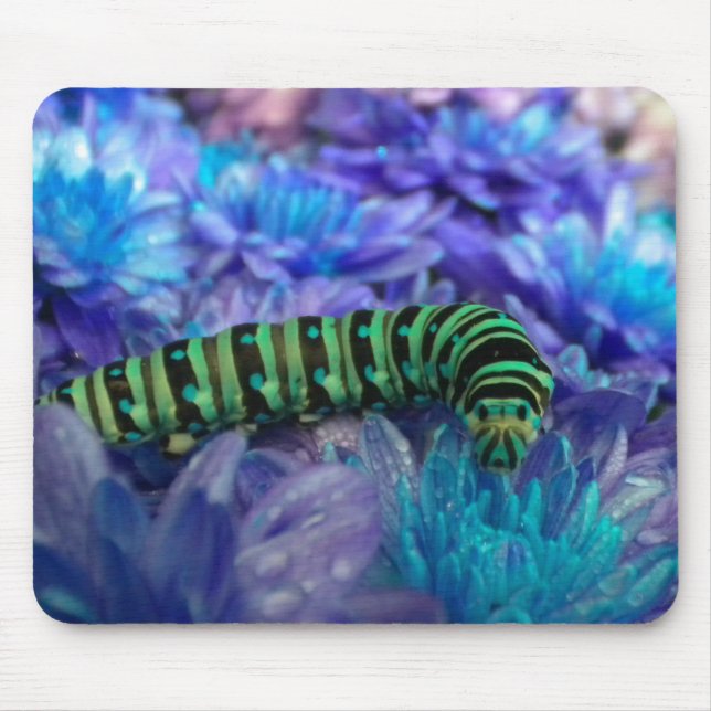 Caterillar Fantasy Mousepad (Frente)