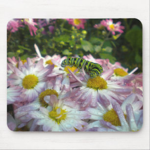 Caterpillar e Asters Mousepad