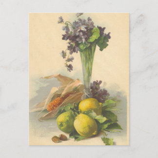 Catherine Klein Vintage - Reprodução de Cartão Pos