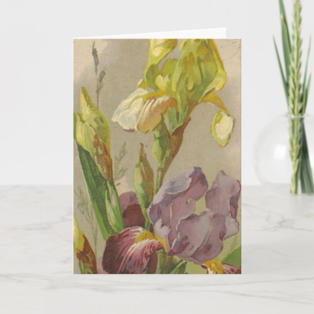 Catherine Klein Vintage - Reprodução do Cartão de  (Frente)