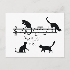 Cats Reproduzindo Notas de Música