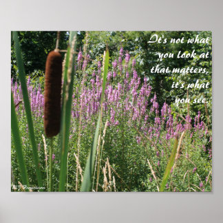 Cattail e Poster para Inspiração de Flor Selvagem