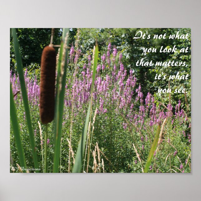 Cattail e Poster para Inspiração de Flor Selvagem (Frente)
