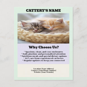Cattery Flyer Chic e Simple