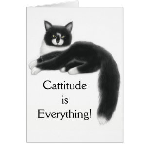 Cattitude é tudo cartão