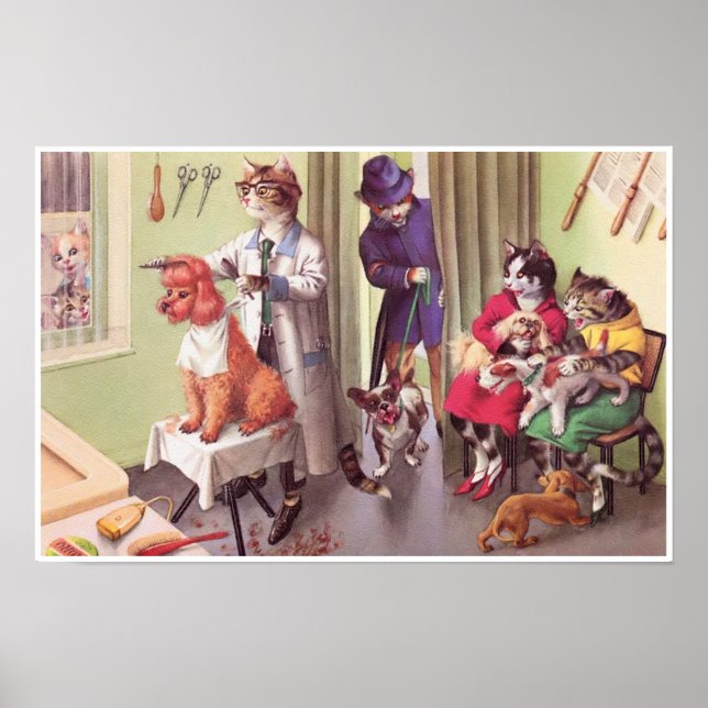 CATWALKS: Bulldog na Poster de Barbers (Frente)