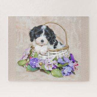Cavachon Puppy na cesta quebra-cabeça