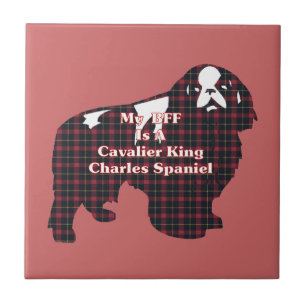 Cavaleiro Rei Charles Spaniel BFF
