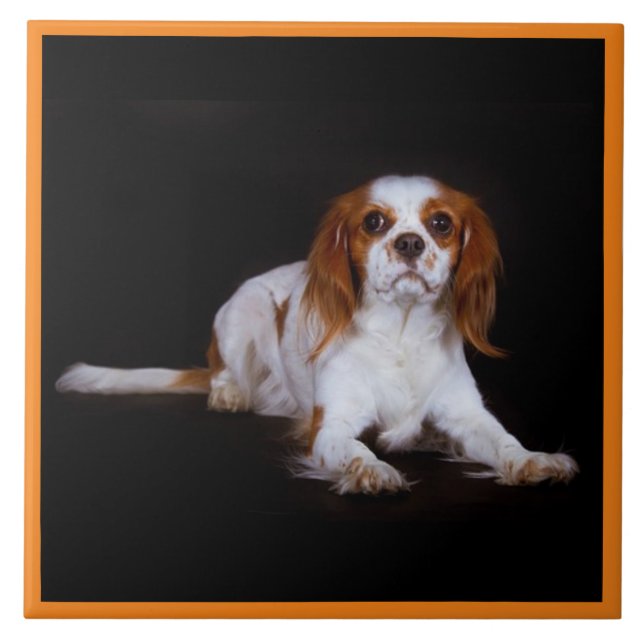 Cavaleiro Rei Charles Spaniel, Pet Love, KEEPSAKE (Frente)