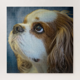 Cavalier King Charles Jigsee Quebra-cabeça