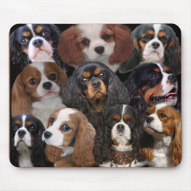Cavalier King Charles mousepad (Frente)