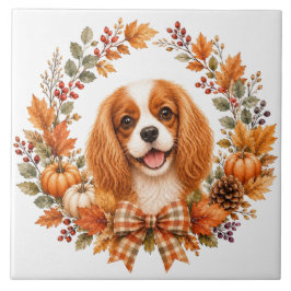 Cavalier King Charles Outono