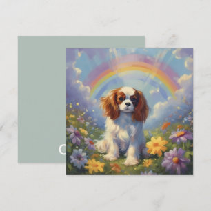 Cavalier King Charles Rainbow - Nome do Cachorro P