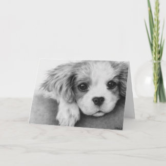 Cavalier King Charles Spaniel Cartão Saudação