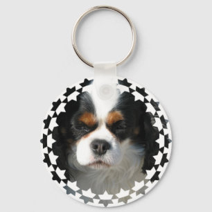 Cavalier King Charles Spaniel Dog Chaveiro