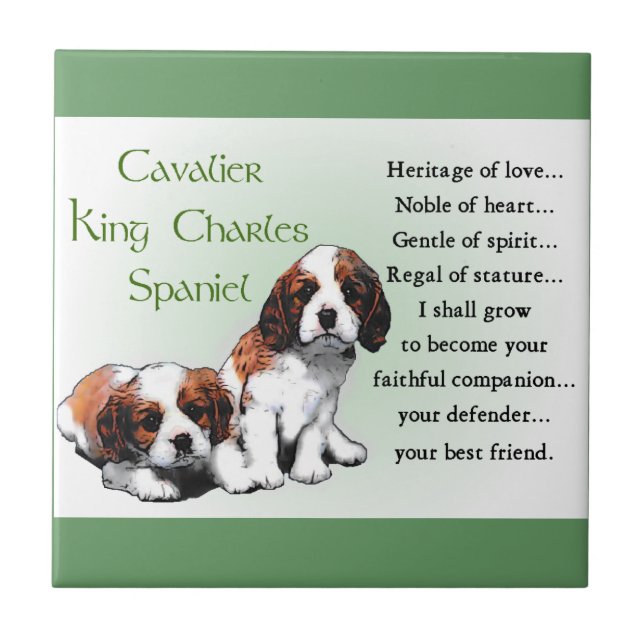 Cavalier King Charles Spaniel Heritage of Love (Frente)