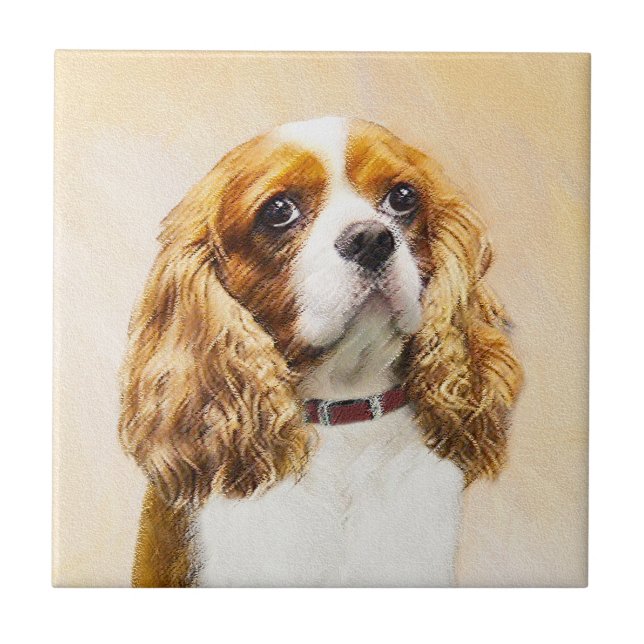 Cavalier King Charles Spaniel Original (Frente)