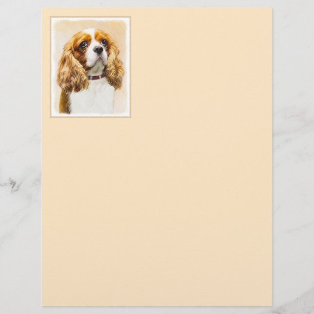 Cavalier King Charles Spaniel Original (Frente)