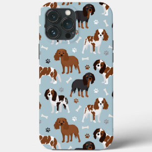 Cavalier King Charles Spaniel Paws e Bones