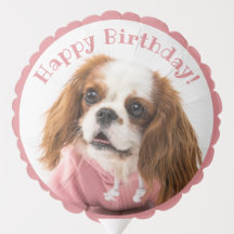 Cavalier King Charles Spaniel Pink Feliz Aniversár