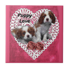 Cavalier King Charles Spaniel Puppy Love