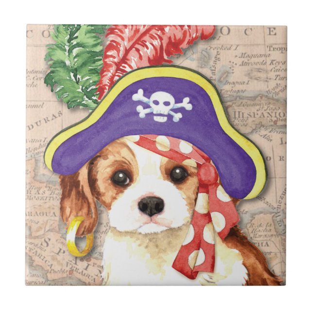 Cavalier Pirate (Frente)