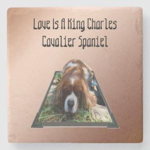 Cavalier Spaniel Popout Art, Porta copos de Pedra
