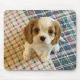 Cavalier Spaniel Puppy Mousepad