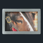 CAVALO<br><div class="desc">Um design fotográfico de um belo cavalo Clydesdale.</div>