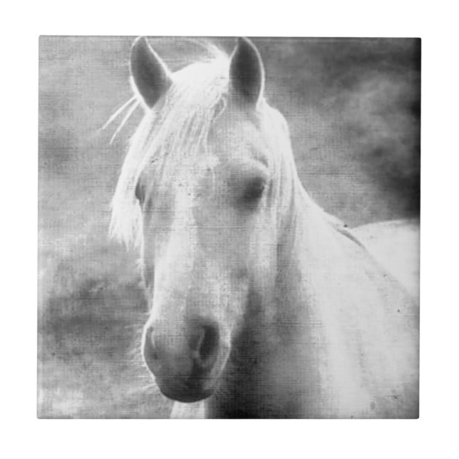 Cavalo (Frente)